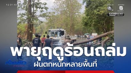 พายุฤดูร้อนพัดถล่ม ฝนตกหนักหลายพื้นที่
