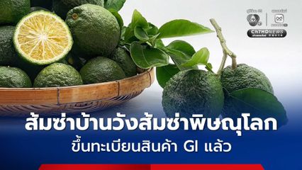 ขึ้นทะเบียน! “ส้มซ่าบ้านวังส้มซ่าพิษณุโลก” เป็นสินค้า GI แล้ว