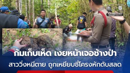 สาวก้มเก็บเห็ด เงยหน้าเจอช้างป่า ตกใจกลัววิ่งหนีตาย ถูกเหยียบซี่โครงหักดับสลด
