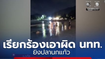 เรียกร้องสอบเอาผิดนักท่องเที่ยว ยิงปลานกแก้ว