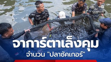 จาการ์ตาเล็งคุมจำนวน 'ปลาซัคเกอร์' พันธุ์ปลาต่างถิ่นรุกราน