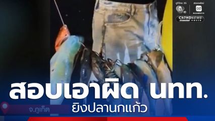 สอบเอาผิดนักท่องเที่ยว ยิงปลานกแก้ว
