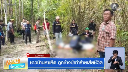 ชาวบ้านหาเห็ด ถูกช้างป่าทำร้ายเสียชีวิต