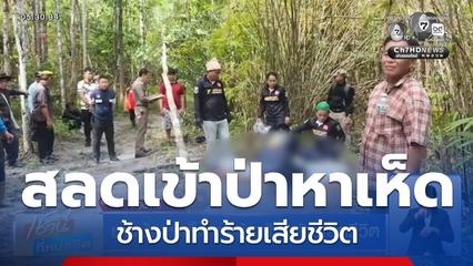 ชาวบ้านหาเห็ด ถูกช้างป่าทำร้ายเสียชีวิต