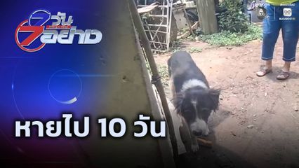 7 วัน 7 อย่าง : หายไป 10 วัน