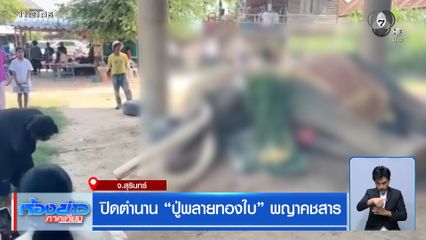 ปิดตำนาน ปู่พลายทองใบ พญาคชสาร จ.สุรินทร์