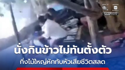 สาวนั่งกินข้าวไม่ทันตั้งตัว เกิดพายุฤดูร้อน พัดกิ่งไม้ใหญ่หักทับหัวเสียชีวิตสลด