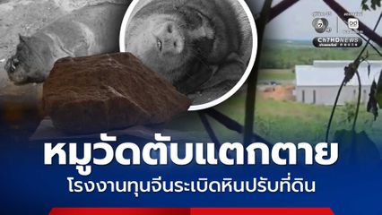เสียงระเบิด ทำหมูวัดตับแตกตาย เหตุโรงงานทุนจีนระเบิดหินปรับที่ดิน