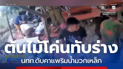 ต้นไม้หักโค่น ทับร่างเสียชีวิต 1 คน