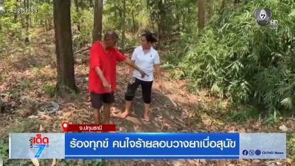 ร้องทุกข์ คนใจร้ายลอบวางยาเบื่อสุนัข