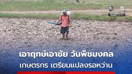 เกษตรกร เตรียมแปลงรอหว่านถั่วเขียวเอาฤกษ์เอาชัย วันพืชมงคล