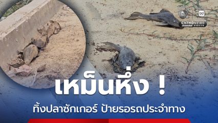 คนหาปลาทิ้งปลาซักเกอร์ริมทางบริเวณป้ายรอรถประจำทาง ส่งกลิ่นเหม็นหึ่ง