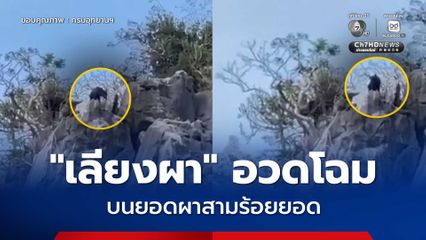 เลียงผา อวดโฉมบนยอดผาสามร้อยยอด สะท้อนความสมบูรณ์ป่าประจวบฯ