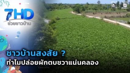 ชาวบ้านสงสัย ? ปล่อยผักตบชวาแน่นคลอง