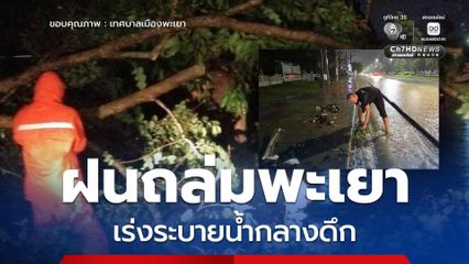 ฝนถล่มพะเยากลางดึก ต้นไม้หักโค่น น้ำเอ่อล้นต้องเร่งระยาย