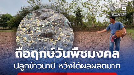 ชาวนาที่จังหวัดขอนแก่น ถือเอาฤกษ์วันพืชมงคล ปลูกข้าวนาปี หวังได้ผลผลิตจำนวนมาก