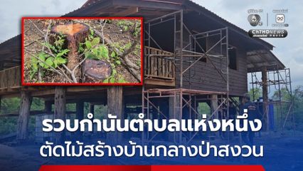 รวบกำนันตำบลแห่งหนึ่ง รับสารภาพตัดไม้สร้างบ้านกลางป่าสงวน