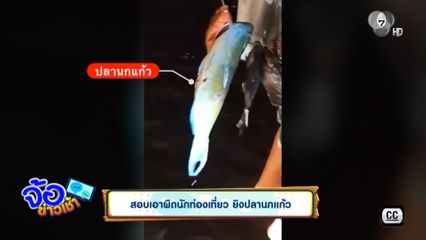 สอบเอาผิดนักท่องเที่ยว ยิงปลานกแก้ว