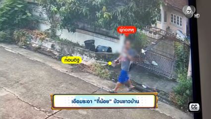 เอือมระอา "ตี๋น้อย" ป่วนชาวบ้าน