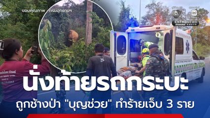 นั่งท้ายรถกระบะ ถูกช้างป่า “บุญช่วย” ทำร้ายเจ็บ 3 ราย