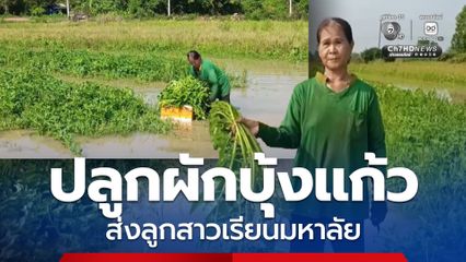 ป้าปลูกผักบุ้งแก้ว ขายส่งลูกสาวเรียนมหาลัย