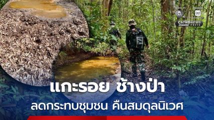 แกะรอยเส้นทางช้างป่า บุณฑริก-ภูจองฯ หวังคืนสมดุลระบบนิเวศ
