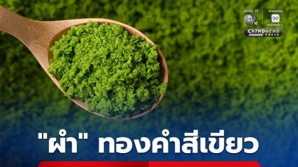 “ผำ” ซูเปอร์ฟูดสัญชาติไทย มุ่งสู่ฉายา “ทองคำสีเขียว” โปรตีนพืชชื่อดัง แปรรูปได้มูลค่าสูง 3,000-5,000 บาทต่อกิโลกรัม