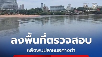 เจ้าหน้าที่ประมงเร่งลงพื้นที่ตรวจสอบ พบ “ปลาหมอคางดำ” โผล่ชายฝั่งพัทยา วอนประชาชนช่วยจับลดการแพร่ระบาด
