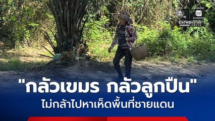 คุณยาย วัย 72 ปี ไม่กล้าที่จะไปหาเห็ดพื้นที่ชายแดนอีกแล้ว กลัวเขมร กลัวลูกปืน