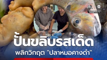 ปลาหมอคางดำ จากผู้รุกรานสู่ปั้นขลิบรสเด็ด