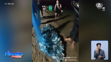 ปลาหมอคางดำ โผล่หาดพัทยา