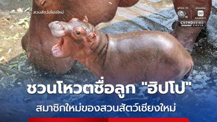 ชวนโหวตชื่อลูก “ฮิปโป” สมาชิกใหม่ของสวนสัตว์เชียงใหม่