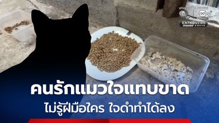 คนรักแมวใจแทบขาด ให้อาหารแมวจรอยู่ทุกวัน พบหัวแมวถูกนำมาวางทิ้งไว้ ใครใจดำทำได้ลง
