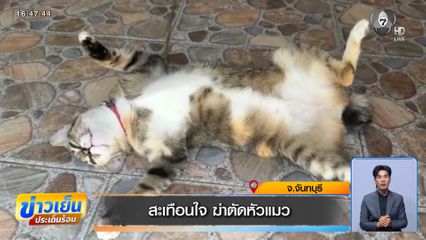 สะเทือนใจ ฆ่าตัดหัวแมว