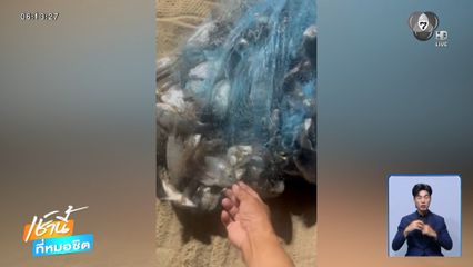 ปลาหมอคางดำ บุกชายหาดพัทยา
