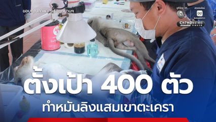 สบอ.3 สาขาเพชรบุรี ติดตามโครงการทำหมันลิงแสมเขาตะเครา ตั้งเป้า 400 ตัว เร่งแก้ปัญหาความเดือดร้อนของชุมชนอย่างยั่งยืน