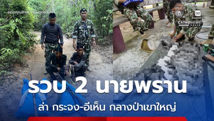 รวบ 2 พราน ลักลอบล่ากระจงควาย-อีเห็น รวม 17 ซาก กลางป่าเขาใหญ่