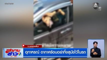 อุทาหรณ์ อากาศร้อนอย่าทิ้งสุนัขไว้ในรถ