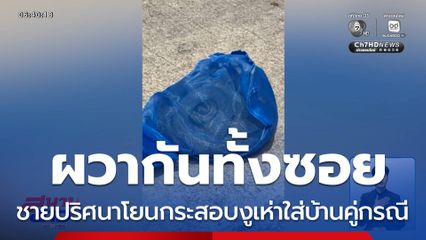 ผวากันทั้งซอย ชายปริศนาโยนกระสอบงูเห่าใส่บ้านคู่กรณี