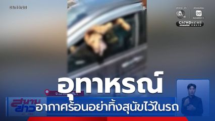 อุทาหรณ์ อากาศร้อนอย่าทิ้งสุนัขไว้ในรถ