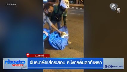 จับหมายัดใส่กระสอบ หนีตายดิ้นตกท้ายรถ