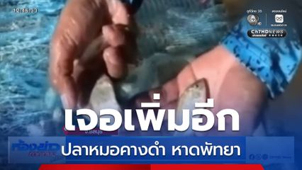 เจออีก ปลาหมอคางดำหาดพัทยา
