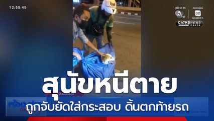 จับหมายัดใส่กระสอบ หนีตายดิ้นตกท้ายรถ