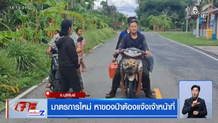 มาตรการใหม่ หาของป่าต้องแจ้งเจ้าหน้าที่