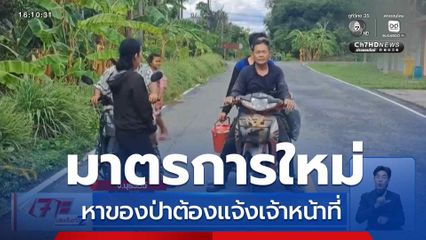 มาตรการใหม่ หาของป่าต้องแจ้งเจ้าหน้าที่
