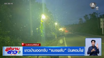 ชาวบ้านออกจับ "แมงพลับ" บินตอมไฟ