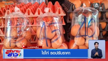 ไข่ไก่ รอปรับราคา จ.นครราชสีมา