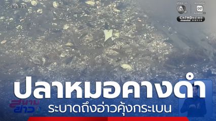 ปลาหมอคางดำ ระบาดถึงอ่าวคุ้งกระเบน