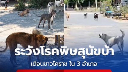 ระวังโรคพิษสุนัขบ้า เตือนชาวโคราช ใน 3 อำเภอ