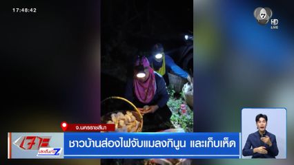 ชาวบ้านส่องไฟจับแมลงกินูน และเก็บเห็ด